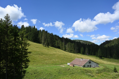 ImmNature028