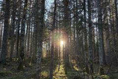 IMG-20251214-WA0015