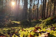 IMG-20251214-WA0016