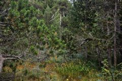 20260917_180625-scaled