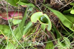 20260917_180753-scaled