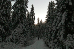 IMG_20241216_085720_647