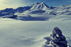 IMG_20250106_111505_462