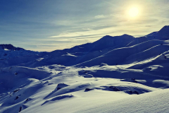 IMG_20250106_111505_634