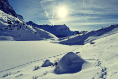 IMG_20250106_111505_759